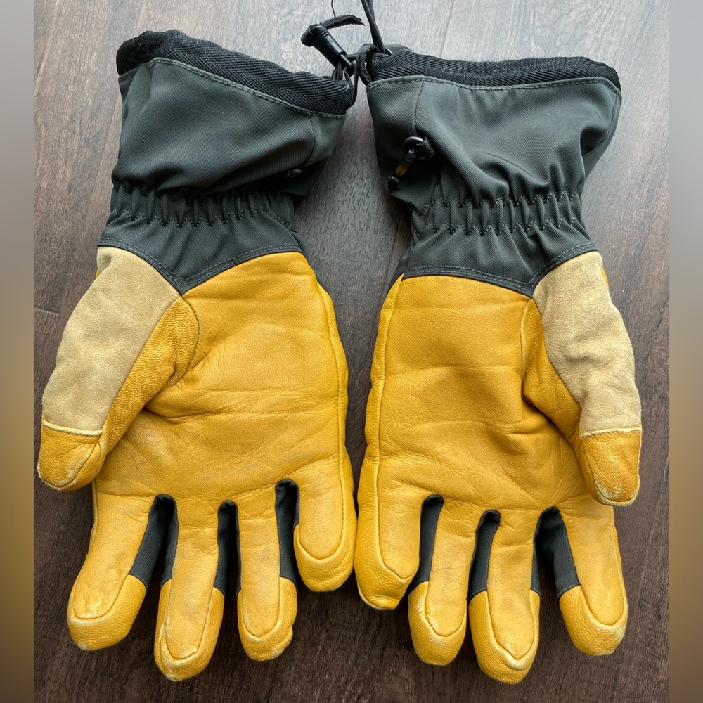Black Diamond Ski Gloves